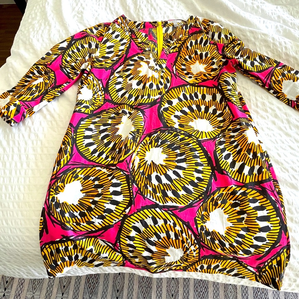 JCrew Dress/Tunic